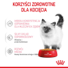 action/Y107I1x0M040j117B3Z2f29837X5X4J4.jpg
