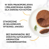 action/Y6W6x6M6L0t051L7U3M1e9F2L2g845K9.jpg