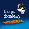 action/Y911T982b0e081p7r7U3w9A2g0M7x6s3.jpg