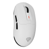 GENESIS Zircon 660 myszka Gaming Po prawej stronie RF Wireless + Bluetooth + USB Type-A Optyczny 12000 DPI
