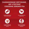 action/Z3A7p4L3V0K0H1t7N7N3n6f7H7m2m8M5.jpg