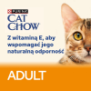 action/Z4I0u1c1c0A01117T4l229R4z1Y108w7.jpg