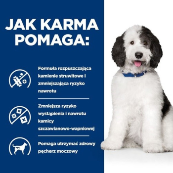 action/02L3V2A8l0x0Q1f791x7K529b5a0n3p9.jpg