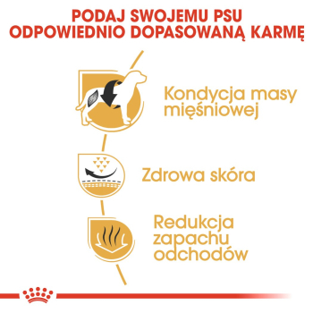 action/09T847f2V0G02167h8v6E3m6J7N1q7t3.jpg