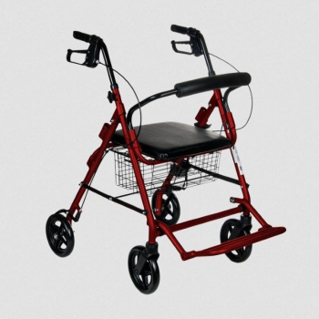 Chodzik czterokołowy Oslo Premium RF-616/C