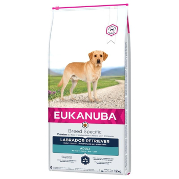 EUKANUBA Adult Labrador Retriever - sucha karma dla psa - 12 kg
