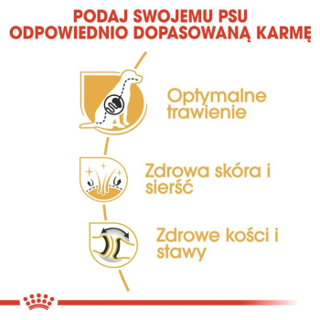 action/24U3N9w0R050Y1A7r7I3M3R0r0x563K3.jpg