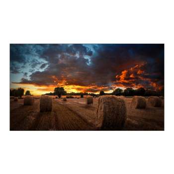 Samsung VM46B-U LCD Wewnętrzna