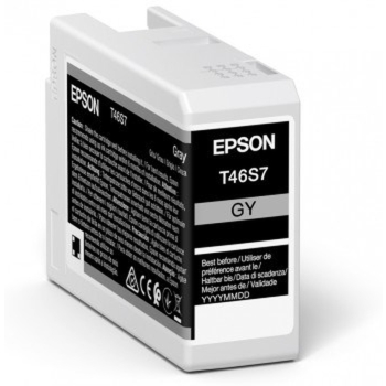 Epson UltraChrome Pro nabój z tuszem 1 szt. Oryginalny Standardowa wydajność Szary