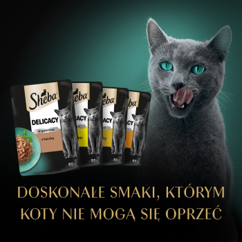 action/37L7E997S0m0C1m7T2s2T9L4129382x6.jpg