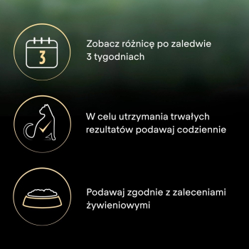action/48M18562t0K0n1x7w7O3l6f802B4f5w9.jpg