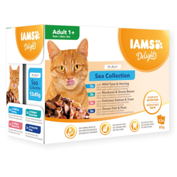 IAMS Advanced Nutrition Adult, rybne smaki12x85g
