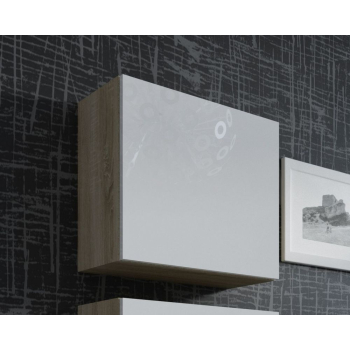 Witryna VIGO kwadrat 50/50/30 sonoma/biały połysk