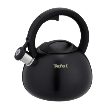 Czajnik nieelektryczny TEFAL N4180410
