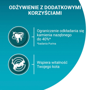 action/66C6z4X2W0t0f1m7g4h9U653t5U2l0k3.jpg