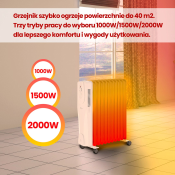 action/67Z2M1A7O0I0X1t763r795q9y6Q5o9y8.jpg