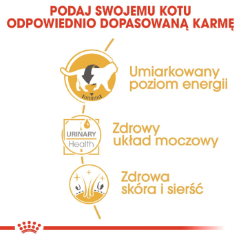 action/72N3p0f2J0D071v7p3x2z250G1k0H5T2.jpg