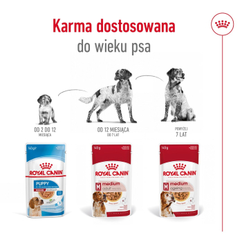 action/77G7g4w7f0D0k1P7Y392g0f2t4I9g5v9.jpg