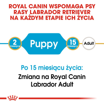 action/90H0g1R9m020u1b7p2q7A2F6k5S4s7C8.jpg