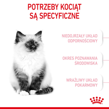 action/99H8d4i1M0i0G1V7z3x2a2o8G7w4L396.jpg