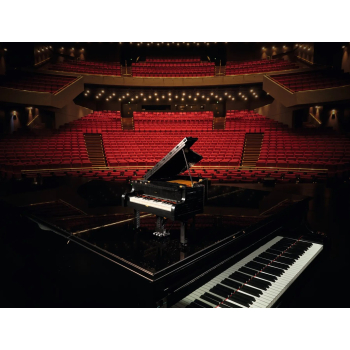 action/A152r417s0q0d10628W3n7U2a155o4B5.jpg