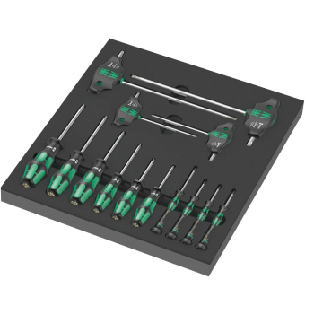 WKŁADKA PIANKOWA Z WKRĘTAKAMI DO ŚRUB I WKRĘTÓW TORX 14CZ