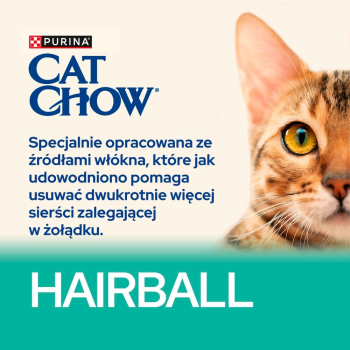 action/A2B7g2k700n091x7b4z2A5c5K145F4Y2.jpg