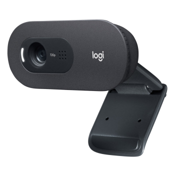 Kamera LOGITECH C505E HD Webcam Black