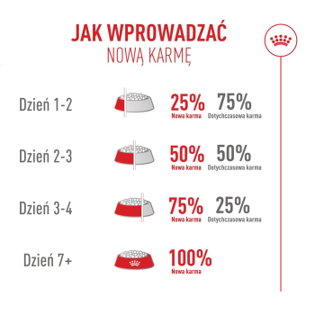 action/B1Q3k2r3k0E0C1n7n7O3U946G501G7x2.jpg