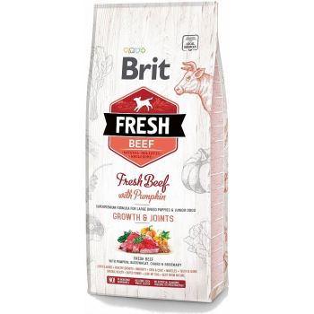 BRIT Fresh Beef & Pumpkin Puppy Large Growth & Joints  - sucha karma z wołowiną i dynią dla szczeniąt ras dużych - 12 kg
