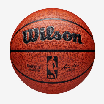 Wilson NBA Authentic Wewnętrz i na wolnym powietrzu Brązowy