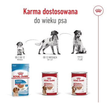 action/B6Q1f8w78070I1r7x7c3c1x4y7K9O2O8.jpg