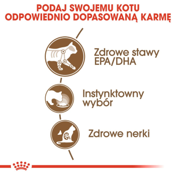 action/B9W519k7E0l0V13773D3t4o0A036X7g3.jpg