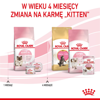action/C2B2Y1X020m0F1L7R3v2t2p8U515T8r0.jpg