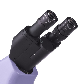 action/C7R4S884Z0X0T187E094T9r5p7h3l8j1.jpg