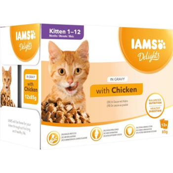 IAMS Delights bogata kurczaka w sosie kocięta 12x85g