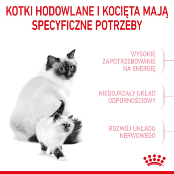 action/D9A7n8d1z0a0Y1d7C3w282K8k5T5e1c0.jpg