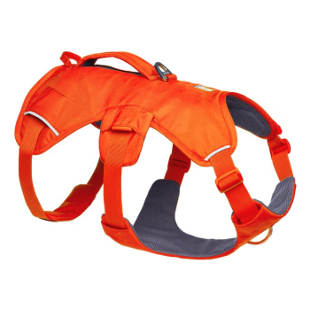 Szelki dla psa Ruffwear Web Master Harness - blaze orange, rozmiar: m