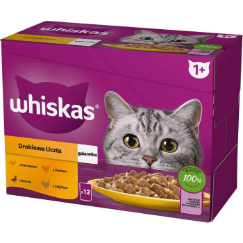 Whiskas Drobiowa Uczta w galaretce Adult - mokra karma dla kota - saszetka -12x85 g