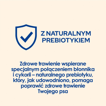 action/E0X9v5U6N0u001t772z757C1L110v771.jpg
