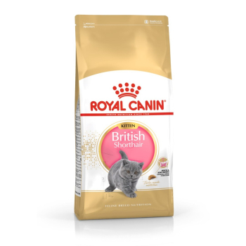 Royal Canin FBN British Shorthair Kitten - sucha karma dla kociąt - 2 kg