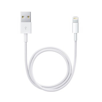 Lightning to USB Cable (0.5 m)