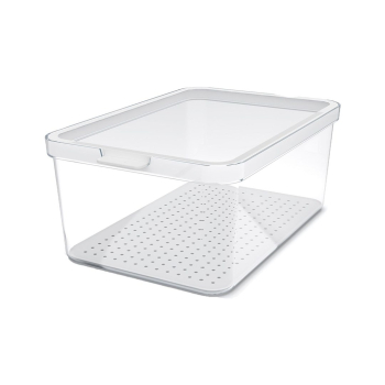 Rotho CAUMA Organizer do lodówki 4,65L