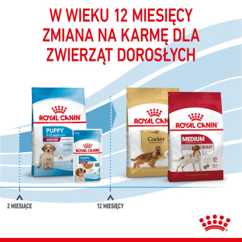 action/F9X8f4X7x0u0b1g7r3h250V27568s4h8.jpg