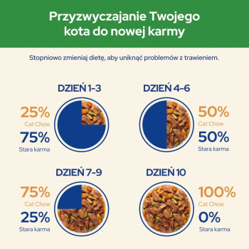 action/G2J9w2f4p0Z0X1I7s6b0p1G3n2W2M814.jpg