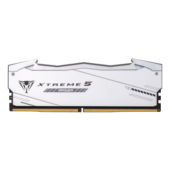 Patriot Viper Gaming RGB XTREME 5 DDR5-8000 RAM, CL 38, Intel XMP 3.0 - 32GB Dual-Kit, silber