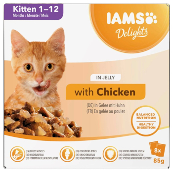 IAMS Delights Kitten in Jelly 8x85g