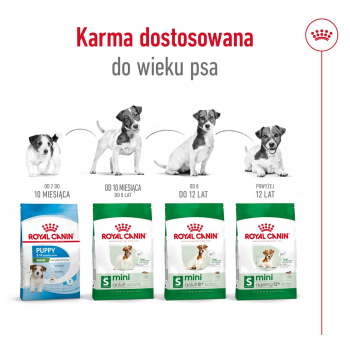 action/H1F8a286w0J0I1z7B3X2c1d945m9m0n3.jpg