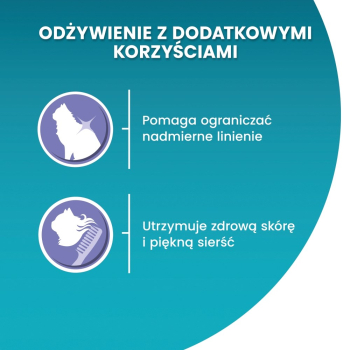 action/H1H5W7S3V0S0T1L7I429L6C3r295u0S8.jpg