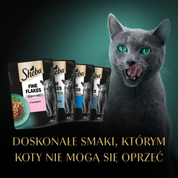 action/I0M6n3K8i0P0V1n7a2u0B0v9B5B6T2T0.jpg